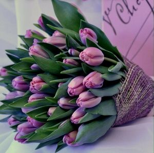 Meet your Posher,Yuliya